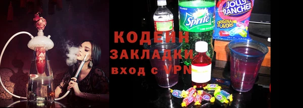 гашик Пересвет