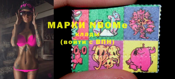 крисы Абаза