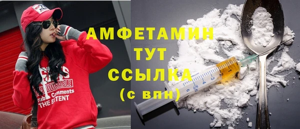 крисы Абаза