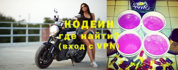 крисы Абаза