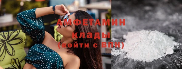 крисы Абаза