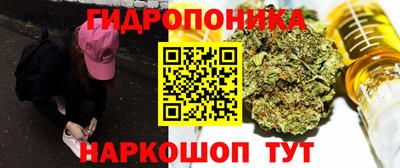 крисы Кимры