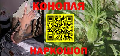 крисы Кимры