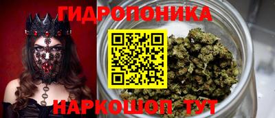 крисы Кимры