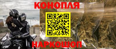 эйфоретик Кингисепп