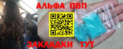 эйфоретик Кингисепп