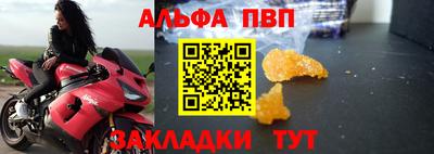 эйфоретик Кингисепп