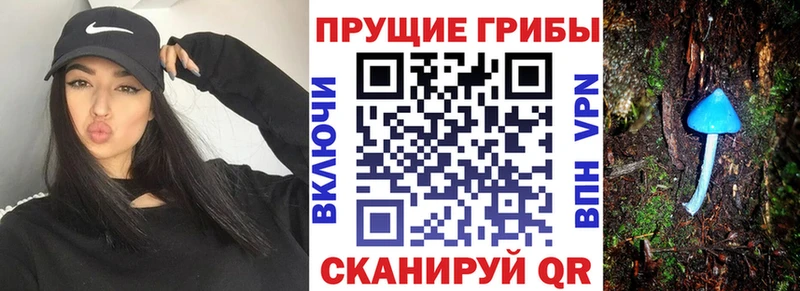 Псилоцибиновые грибы ЛСД Кудымкар