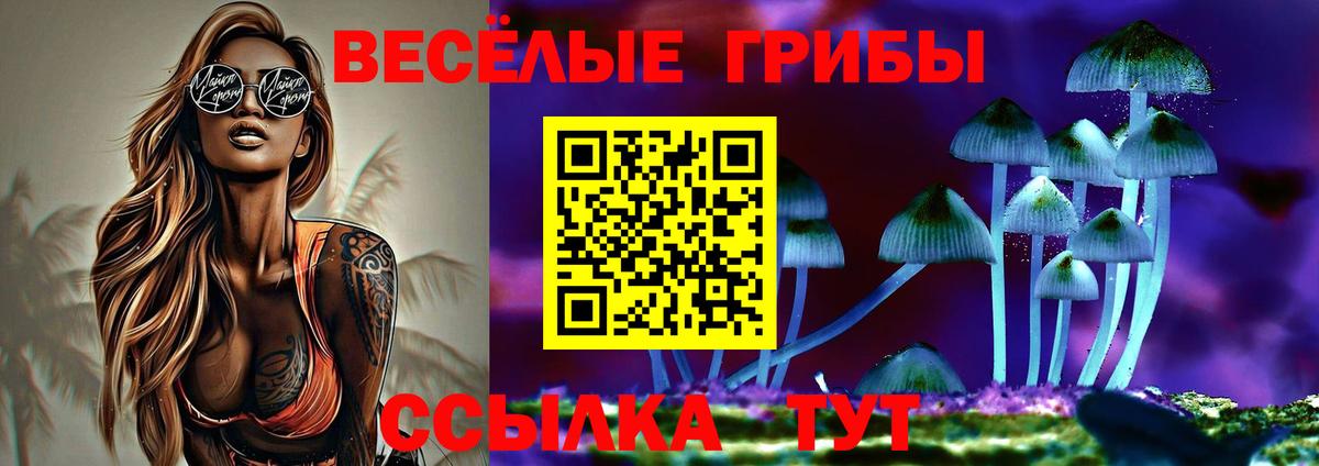 Галлюциногенные грибы Magic Shrooms Кудымкар
